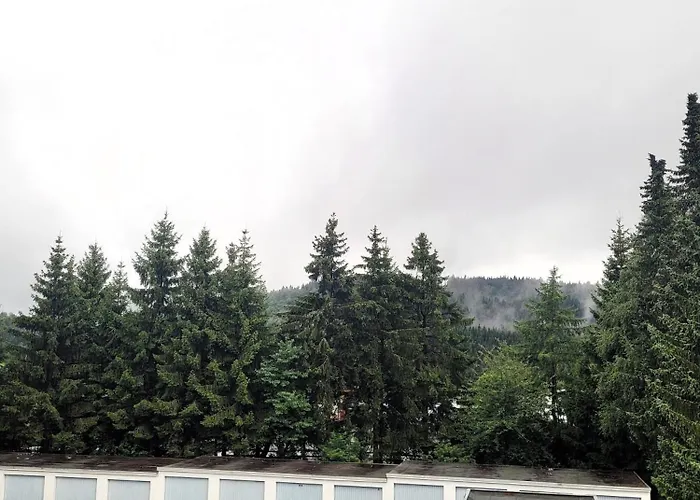 Winterberg Appartement 21028